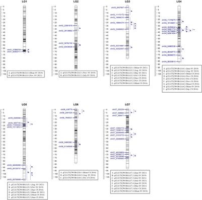 Pedigree-based analysis in multi-parental diploid rose populations reveals QTLs for cercospora leaf spot disease resistance